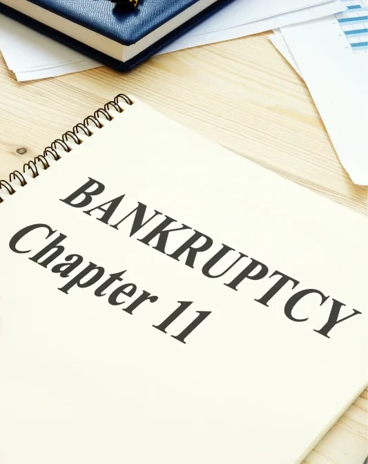 Chapter 11 Bankruptcy 1
