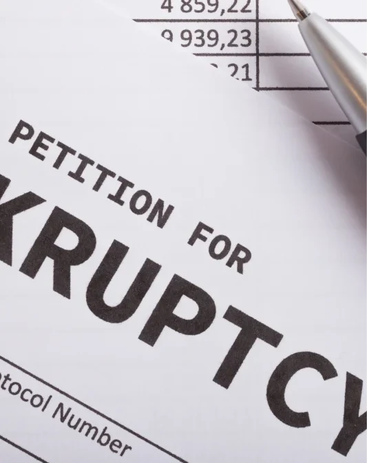 Chapter 7 Bankruptcy 1